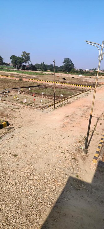 Plot For Resale in Faizabad Road Lucknow  6873888