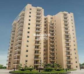 3 BHK Apartment For Rent in Satya The Hermitage Phase 2 Sector 103 Gurgaon 6874006