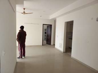 2 BHK Apartment For Rent in Jaypee Greens Pavilion Court Sector 128 Noida 6874036
