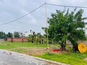  Plot For Resale in Whitefield Bangalore 6874831