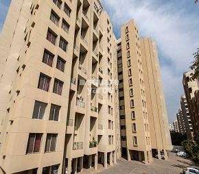 2 BHK Apartment For Rent in Gulmohar Primrose Wagholi Pune 6875097