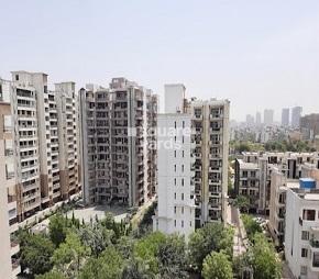 4 BHK Apartment For Rent in Abhinandan CGHS Sector 51 Gurgaon  6875138