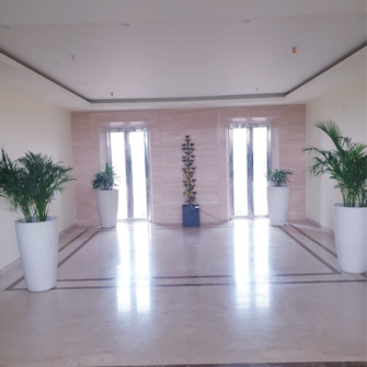 3 BHK Apartment For Resale in South City Ludhiana  6875776