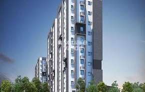 1 BHK Apartment For Resale in Salarpuria Sattva Bliss Budigere Cross Bangalore 6876194