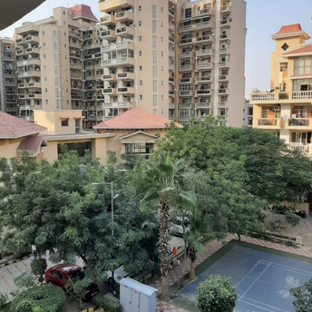 3.5 BHK Apartment For Resale in Parsvnath Green Ville Dhani Hasanpur Village Gurgaon 6876345