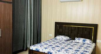 1 BHK Apartment For Rent in Koramangala Bangalore 6877841