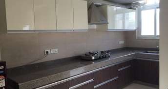 2 BHK Apartment For Rent in MGF Mega City Mall Sector 28 Gurgaon 6877964