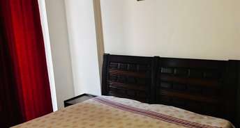 3 BHK Apartment For Rent in Dhillon Burj One Lohgarh Zirakpur 6878380