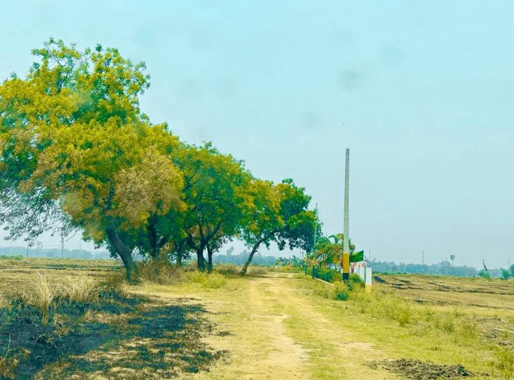 Listing Cover Image