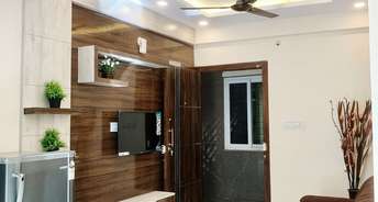 2 BHK Apartment For Rent in Euphoria Apartments Ejipura Bangalore 6879553