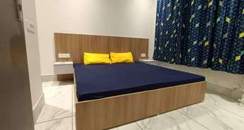 5 BHK Apartment For Rent in Rohan Mithila Viman Nagar Pune 6880750