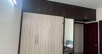 3 BHK Apartment For Rent in SJR Blue Waters Off Sarjapur Road Bangalore 6880989