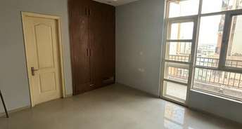 2 BHK Apartment For Rent in Paschim Vihar Delhi 6882396