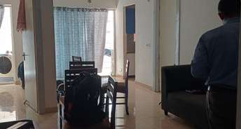2 BHK Apartment For Rent in Gaur City 2   14th Avenue Noida Ext Sector 16c Greater Noida 6883120