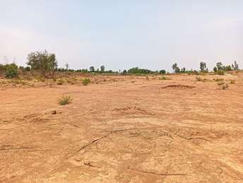 Commercial Land 20 Acre For Rent in Devanahalli Bangalore  6883587