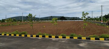 Plot Area in  Plot at Sabbavaram – for Sale