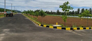 Plot Area in  Plot at Sabbavaram – for Sale