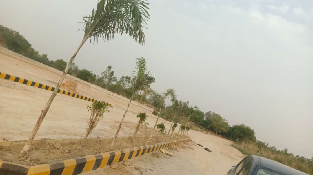 Plot For Resale in Mohanlalganj Lucknow  6884099