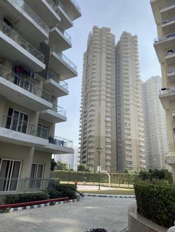 3 BHK Apartment For Rent in Paras Irene Sector 70a Gurgaon 6884579