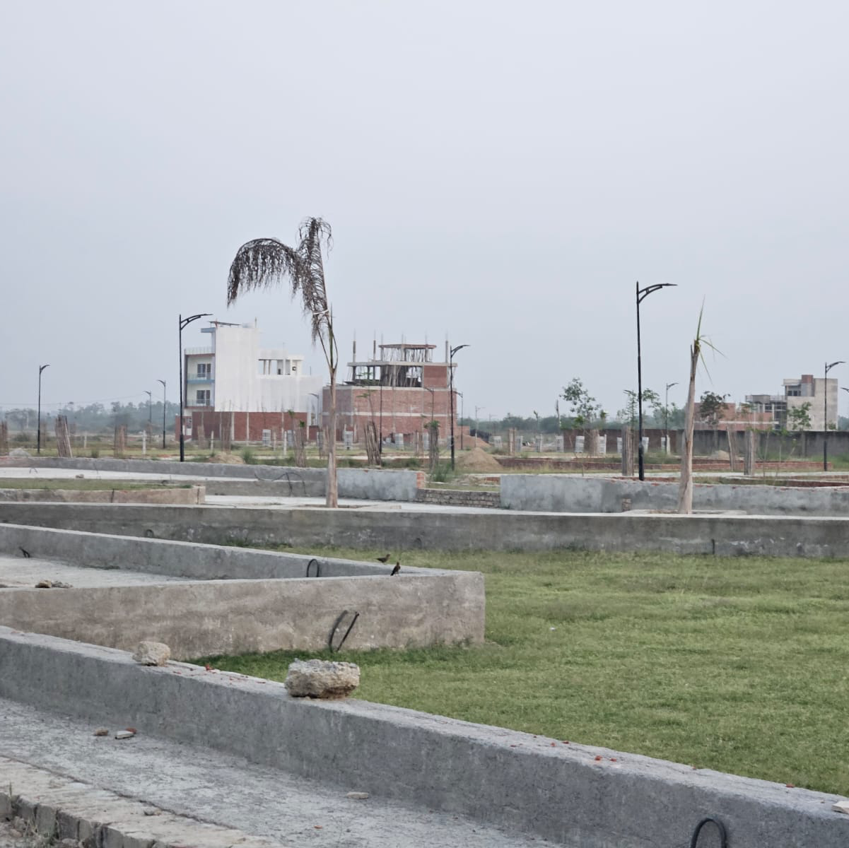 Plot For Resale in Sultanpur Road Lucknow  6885218