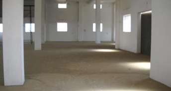 Commercial Warehouse 900 Sq.Ft. For Rent In Anisabad Patna 6885143