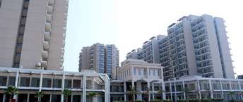 2 BHK Apartment For Rent in Signature Global Andour Height Sector 71 Gurgaon 6887247
