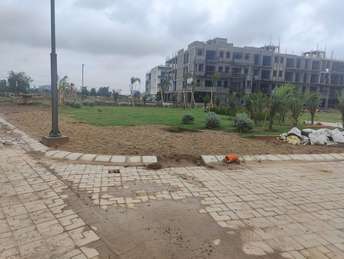 Plot For Rent in Paschim Vihar Delhi  6887674