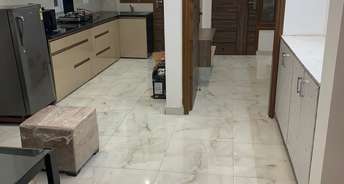 2 BHK Builder Floor For Rent in Orchid Island Sector 51 Gurgaon 6887804