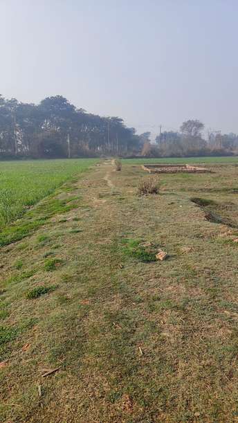 Plot For Resale in Mullanpur Mohali  6888440