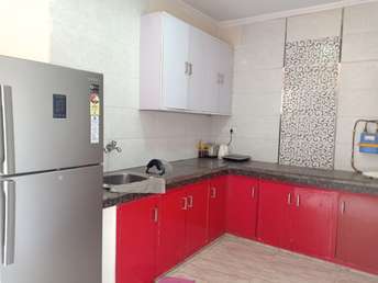 1 BHK Apartment For Rent in Shivalik A Block Malviya Nagar Delhi 6888552