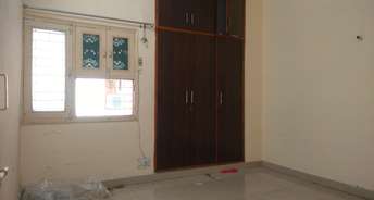 2 BHK Apartment For Rent in Agrasen Awas Patparganj Delhi 6889207