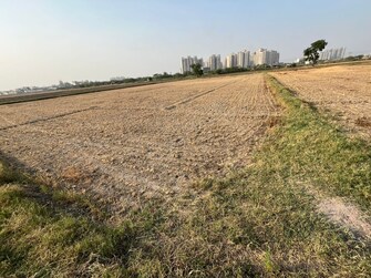 Commercial Land 6000 Sq.Ft. For Resale in Dwarka Mor Delhi  6890462