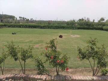 Plot For Resale in Sector 16c Greater Noida Greater Noida  6891300