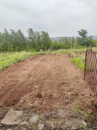 Plot For Resale in Shirwal Satara  6892331