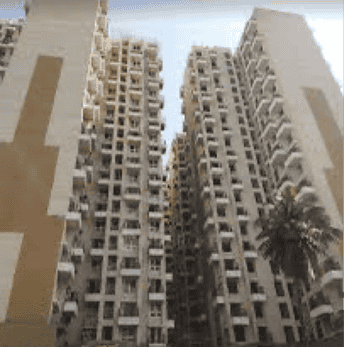 1 BHK Apartment For Rent in DB Orchid Ozone Ghodbandar Mumbai  6892570