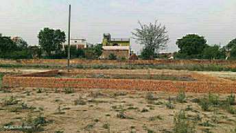 Commercial Land 300 Acre For Resale In Sector 49 Noida 6892967