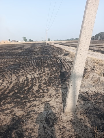 Commercial Land 40 Acre For Resale in Lotus Road Kurukshetra  6893327