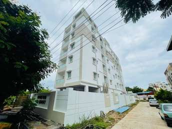 2 BHK Apartment For Resale in Hanamkonda Warangal  6893388