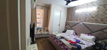 3 BHK Apartment For Rent in Sushma Joynest ZRK Ghazipur Zirakpur  6894144