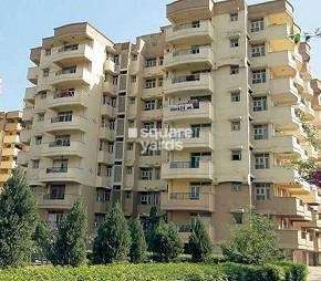 3 BHK Apartment For Rent in Rudra Vigyan Vihar Sector 56 Gurgaon 6899203