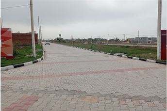 Plot For Resale in Old Ambala Road Panchkula  6900035