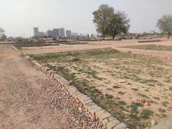 Plot For Resale in Greater Noida West Greater Noida  6901098