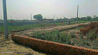  Plot For Resale in NCR Olympia Sector 79 Noida 6901369