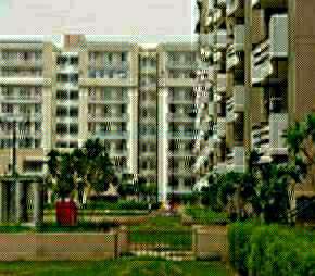 3 BHK Apartment For Resale in SVP Gulmohur Greens Mohan Nagar Ghaziabad 6901793