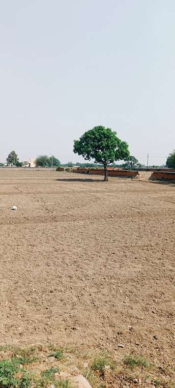 Commercial Land 5000 Sq.Yd. For Resale In Jewar Greater Noida 6901831