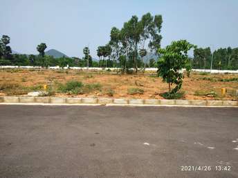  Plot For Resale in SVS Central Park Anandapuram Vizag 6903451