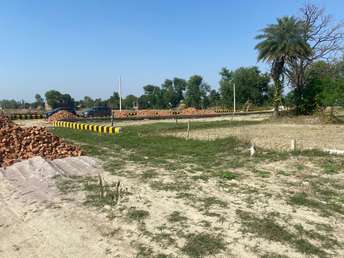 Plot For Resale in Chinhat Lucknow  6903797