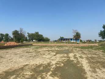 Plot For Resale in Chinhat Lucknow  6904129
