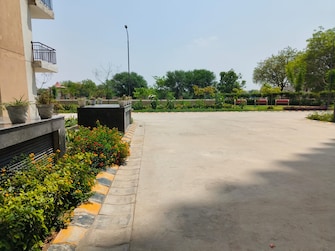 Plot For Resale in Shahjahanpur Neemrana  6907189