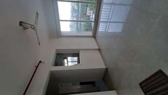 1 BHK Apartment For Rent in STG Atlantis Panch Pakhadi Thane 6907229
